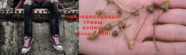 синтетический гашиш Волоколамск